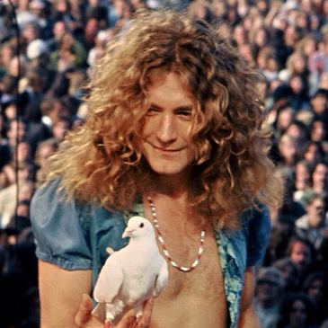 Robert Plant